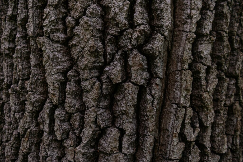 utiliser les écorces de bois dans le jardin